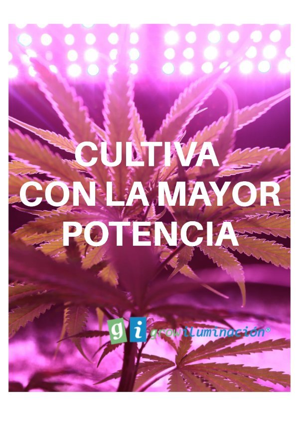 Cultiva-Grow-Shop-Iluminacion