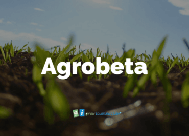 Fertilizantes-Grow-Shop-Murcia-AGROBETA-Grow-Shop-Iluminacion-en-Murcia