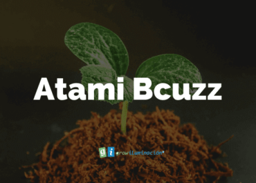 Fertilizantes-Grow Shop Murcia- Atami Bcuzz-Grow Iluminación