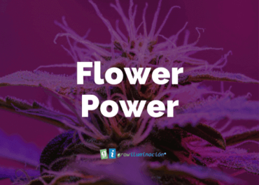 Fertilizantes-Grow Shop Murcia-Flower Power-Grow Iluminacion en Murcia