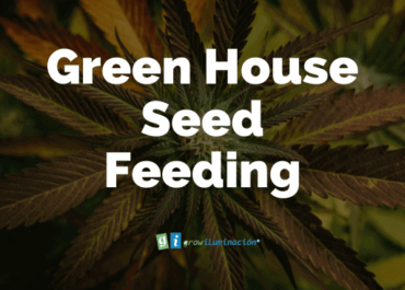 Fertilizantes-Grow-Shop-Murcia-Green-House-Seed-Feeding-Grow-Iluminacion