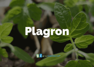 Fertilizantes-Grow-Shop-Murcia-Plagron-Grow-Iluminacion